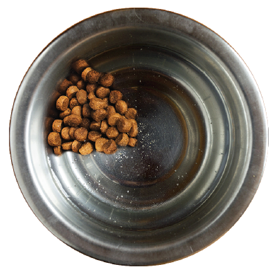 Bowl_quarter png