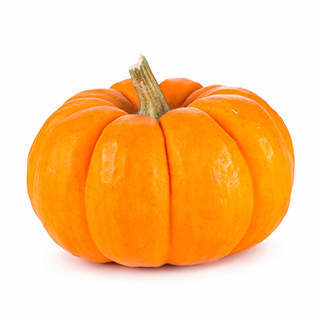 pinnacle salmon and pumpkin