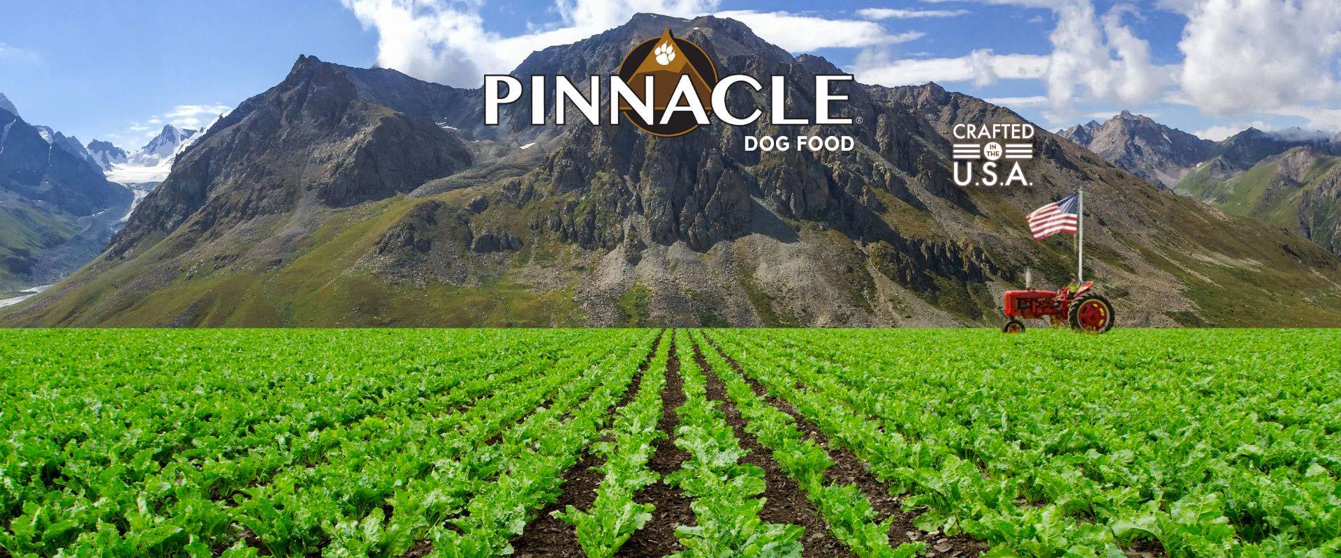 Pinnacle Pet Food